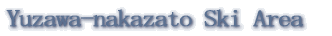 Yuzawa-nakazato Ski Area 