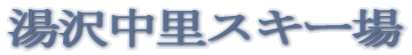 ���򒆗��X�L�[�� 